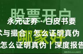 永元证券 · 白皮书要点 · 技术与撮合 · 怎么证明真伪｜深度报告