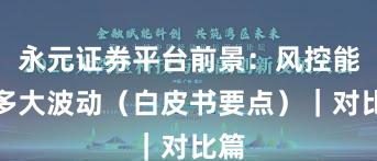 永元证券平台前景：风控能扛多大波动（白皮书要点）｜对比篇