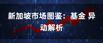 新加坡市场图鉴：基金 异动解析