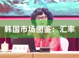 韩国市场图鉴：汇率