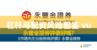 杠杆与配资风险图鉴 vu