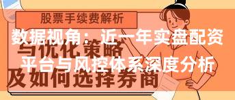 数据视角：近一年实盘配资平台与风控体系深度分析